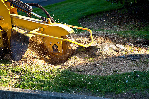 Artificial Turf Installation in Milton, FL